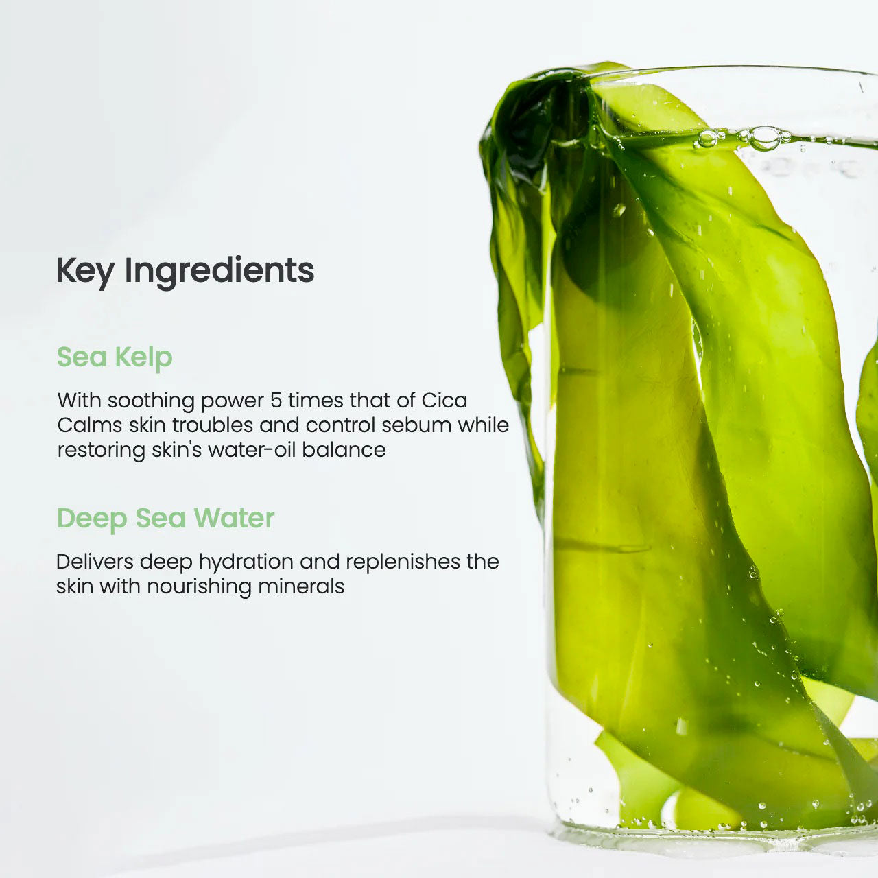 BIODANCE Refreshing Sea Kelp Real Deep Mask 34g - Maschera viso in idrogel con alga kelp
