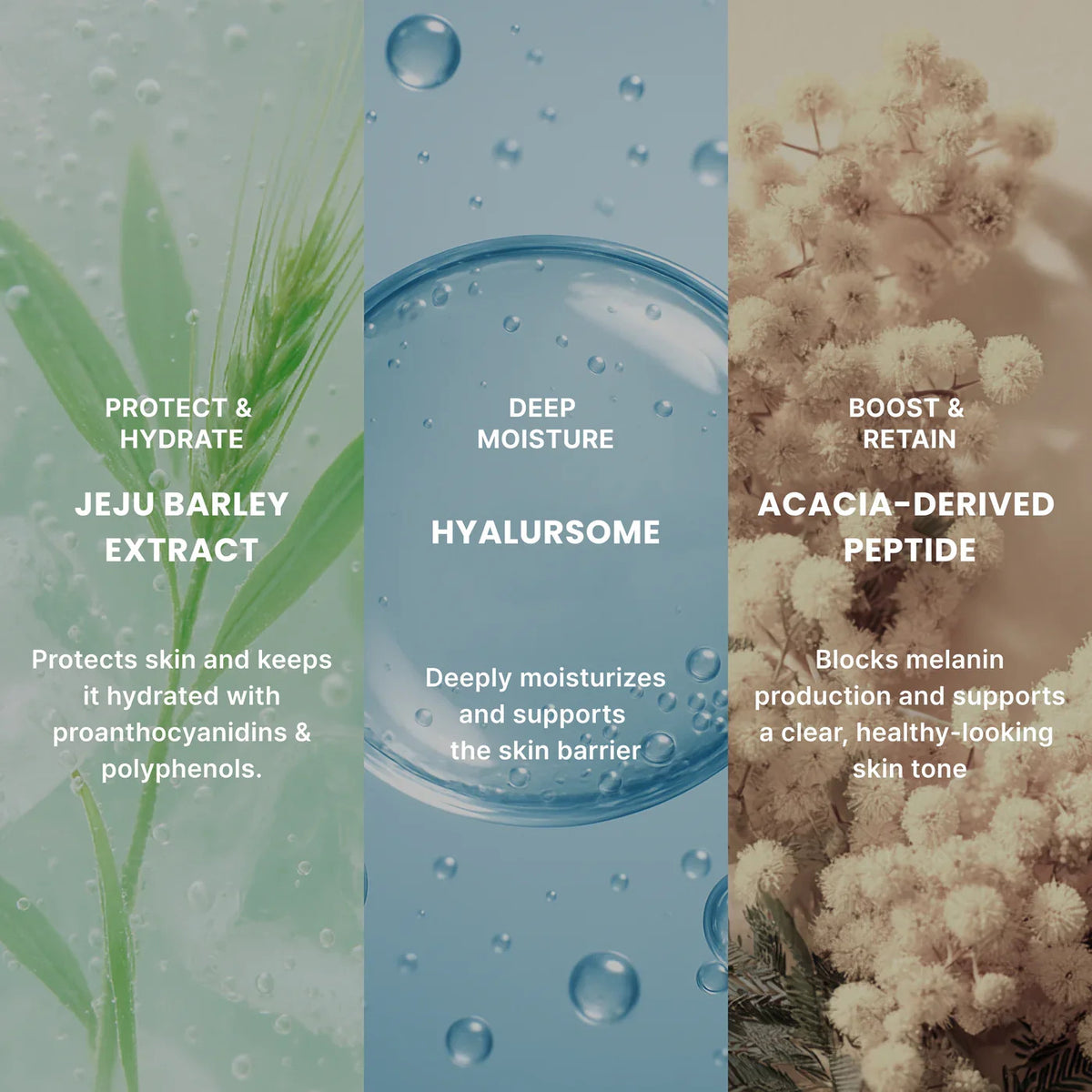 PO:DL Barley Hyal-Some Hydromask 36g - Maschera in Hydrogel