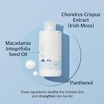 ROUND LAB Dokdo Lotion 200ml - Lozione idratante con minerali